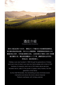 雷盛539干紅葡萄酒(1箱6支)