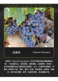 雷盛839法國幹紅葡萄酒(1箱6支)