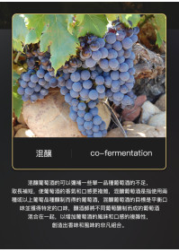 雷盛899法國幹紅葡萄酒(1支裝)
