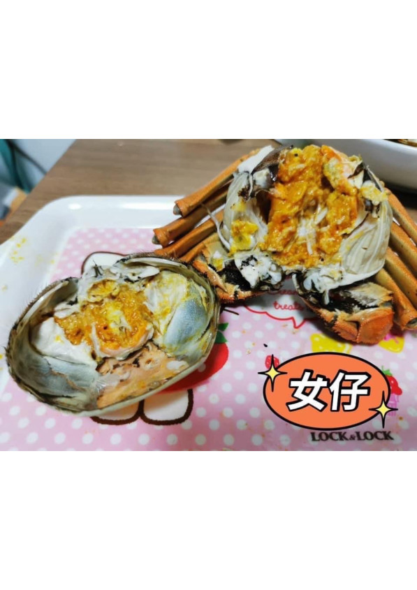 正宗江蘇大閘蟹（乸）4-4.5兩